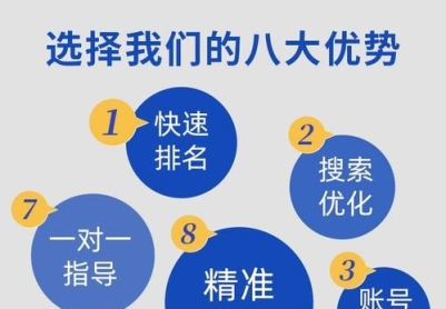 网站SEO优化（掌握SEO技巧，轻松实现自然流量增长）