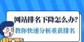 内页优化与首页优化（探讨如何优化网站的不同页面）