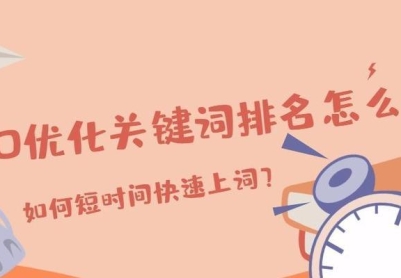 探究冷门的优化策略（从百度seo的6种攻略到5个技巧全方位解析）