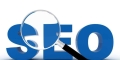 网络域名对SEO优化的影响（从匹配到品牌认知）
