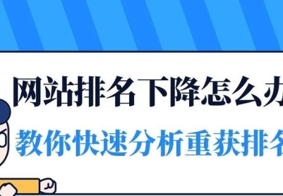 内页优化与首页优化（探讨如何优化网站的不同页面）