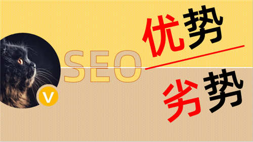 SEO流量分析：SEO的优势与劣势-1.jpg